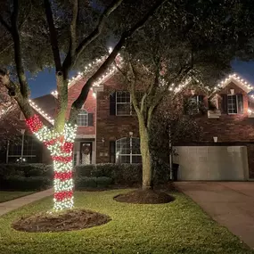 Christmas Light Installation