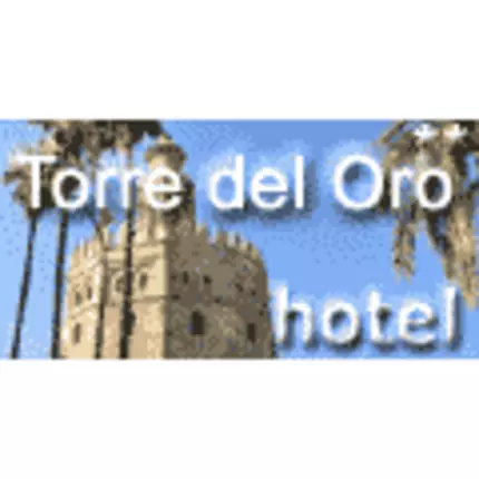 Logo from Hotel Torre Del Oro **