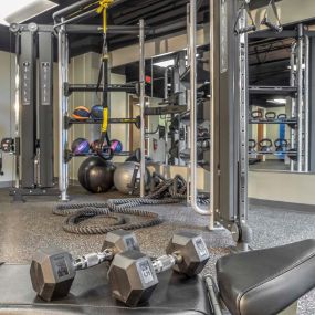 Fitness center with TRX trainer