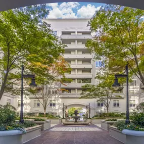 English garden courtyard