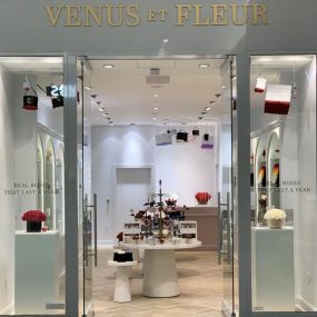Bild von Venus ET Fleur