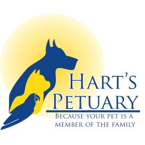 Because your pet is a member of the family