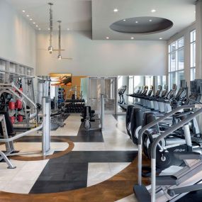 The Terrace 24-hour Fitness Center with free weights and cardio equipment