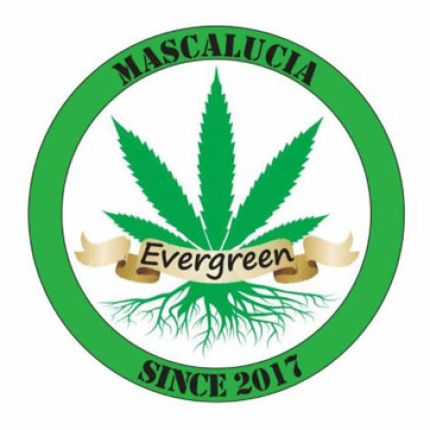 Logo od Evergreen Grow Shop