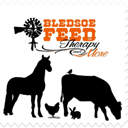 Logo from Bledsoe Feed & Boutique