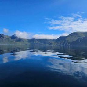 Bild von Alaska SeaScape Lodge