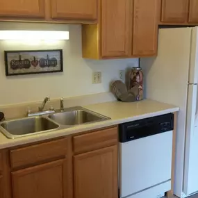 Kitchen Appliances and Cabinets