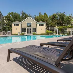 Bild von Woodland Meadow