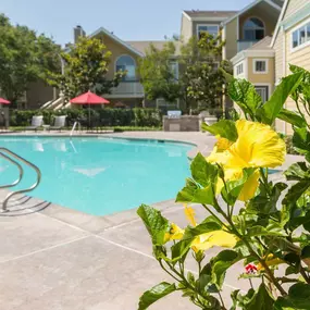 Bild von Woodland Meadow