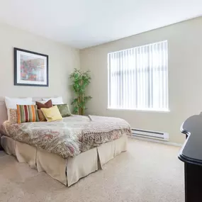 Bild von Woodland Meadow