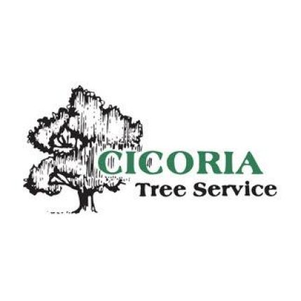 Logo fra Cicoria Tree and Crane Service, Inc.