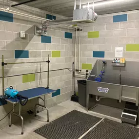 Element Dog Grooming Station 2