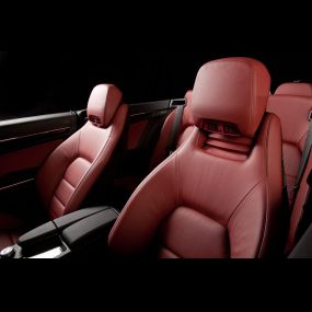 Bild von Color New Auto Upholstery