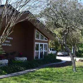 Welcome to VCA Ponte Vedra Animal Hospital!