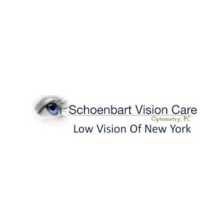 Logo da Low Vision Optometry
