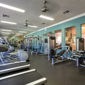 Fitness center weight machines cardio machines