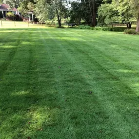 Bild von Delaware Valley Turf