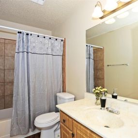 Modern Bathroom with New Finishes