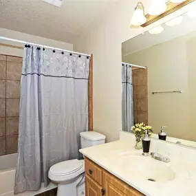 Modern Bathroom with New Finishes