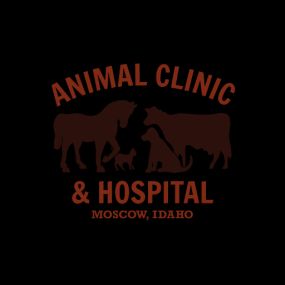 Bild von Animal Clinic & Hospital