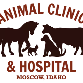 Bild von Animal Clinic & Hospital