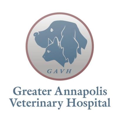 Logo von Greater Annapolis Veterinary Hospital