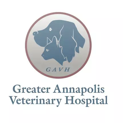 Logotyp från Greater Annapolis Veterinary Hospital