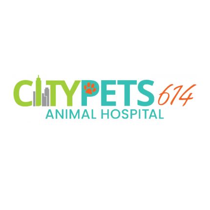 Logo da CityPets614