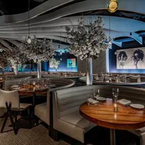 Bild von STK Steakhouse