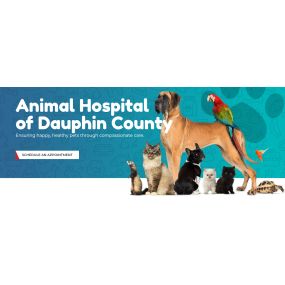 Bild von Animal Hospital of Dauphin County