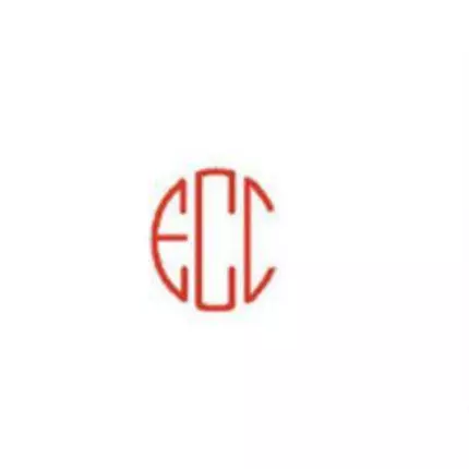 Logo de Executive Choice Courier