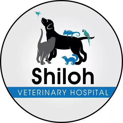 Λογότυπο από Shiloh Veterinary Hospital