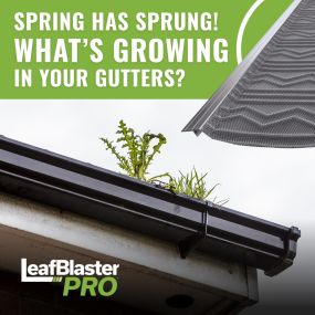 Willis Roofing Is now partnered with the best gutter guard in the industry! best of all its affordable as well!