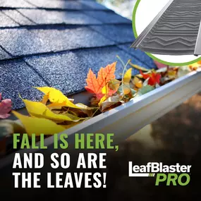 Fall Is here, Leaves are here. Dont sweat it though. Because guess who else is here? That's right Willis Roofing. Call now, lets get those gutters clean and functioning like they need to.