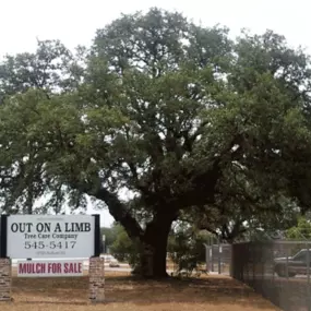 Bild von Out On A Limb Tree Care