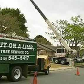 Bild von Out On A Limb Tree Care