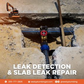 Leak Detection & Slab Repair