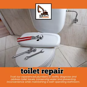 Flush away worries with our expert toilet repair services. Dial 205-777-2826 to restore function and peace of mind, one flush at a time!