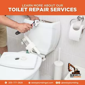 Toilet Repair Services