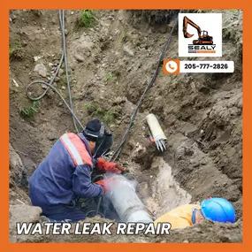 Don't let leaks steal your peace! Call us at (205) 777-2826 for water leak repair that stops drips in their tracks.