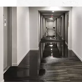 Water Damage Remediation