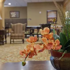 At Eden Prairie Senior Living, our professional and compassionate staff keeps our residents active and independent every day of the week through a wide range of fun events and activities.