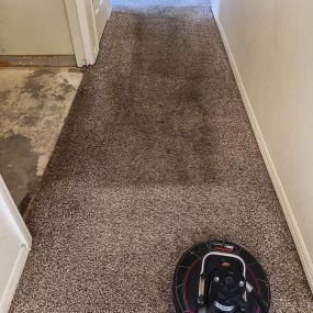 Bild von Masters Touch Carpet Care