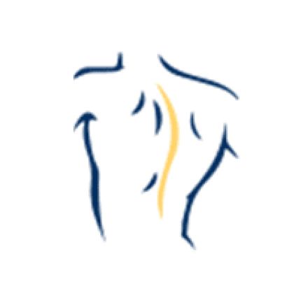 Logo de Premier Health Chiropractic & Wellness: H. Khayal, DC