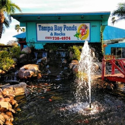 Logo da Tampa Bay Ponds & Rocks