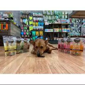 Need Raw diet for your pets? Woof Gang Bakery & Grooming in  US States, Capitals, and Government Links Georgia has the largest selection of raw diets with a strong emphasis on holistic on natural care. Homoeopathic and herbal remedies.