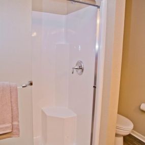 The Manor Homes of Eagle Glen Apartment Shower
