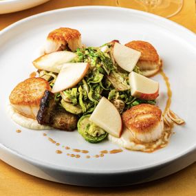 Seared New England Scallops with Soy braised pork belly, roasted fennel, brussels sprouts, honey crisp apple, creamy celeriac, pine bud syrup