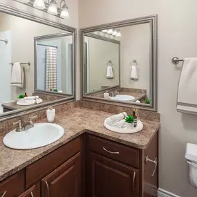 Spacious bathroom with wrap-around counter at Camden Addison apartments in Addison, Tx