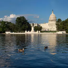 The U.S. Capitol Building